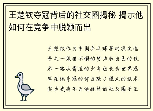 王楚钦夺冠背后的社交圈揭秘 揭示他如何在竞争中脱颖而出